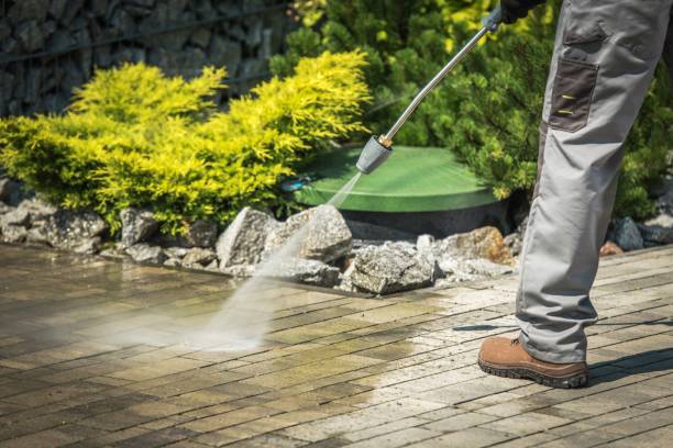 Animal Enclosure Cleaning in Elmont, NY
