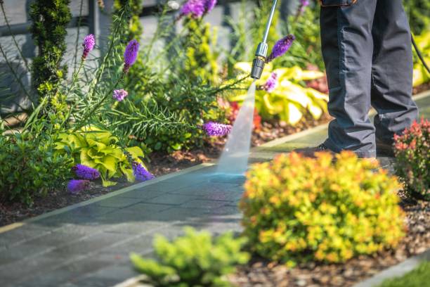 Best Animal Enclosure Cleaning  in Elmont, NY