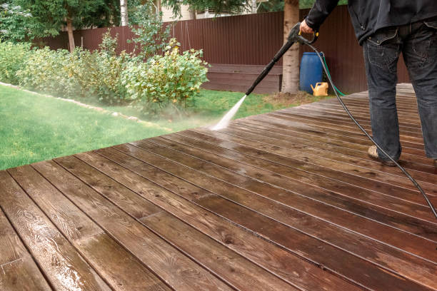 Best Sidewalk and Walkway Cleaning  in Elmont, NY